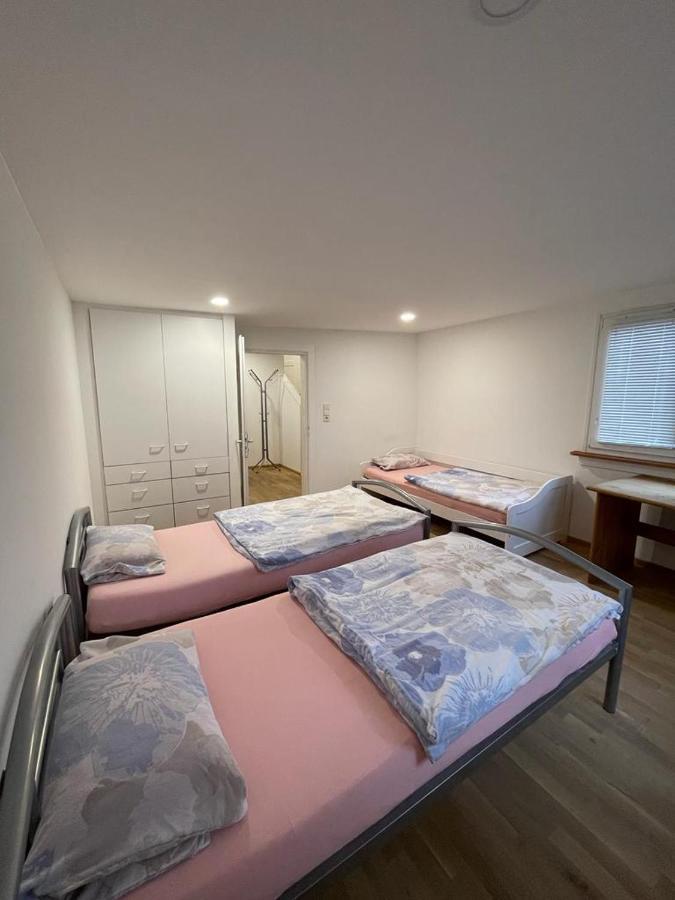 Apartment Viktoria Offenburg Dış mekan fotoğraf
